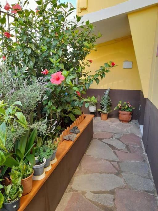 El Rincon De Nina Villa ลาลากูนา ภายนอก รูปภาพ