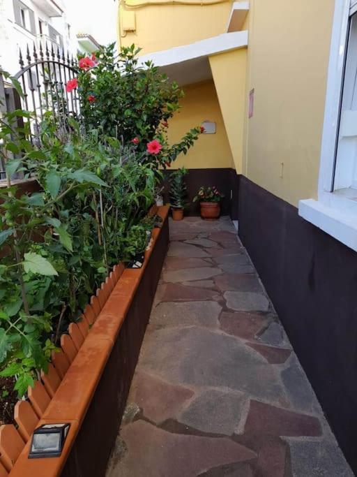 El Rincon De Nina Villa ลาลากูนา ภายนอก รูปภาพ